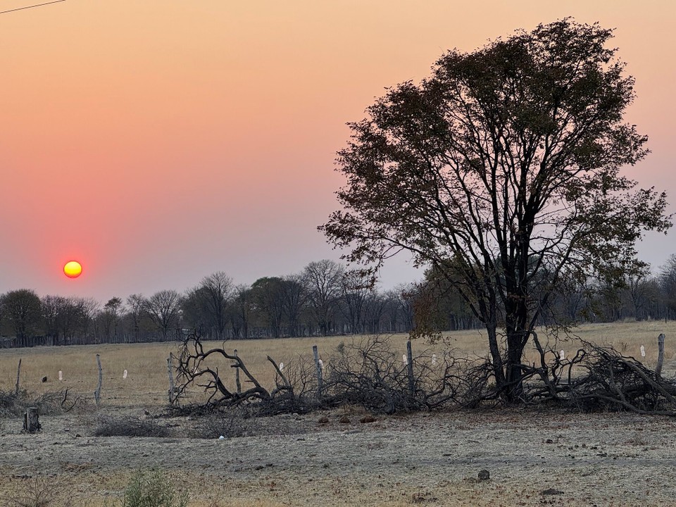 Botsuana -  - Heute klingelt um 5 Uhr der Wecker, Urlaub kann schlimmer als Arbeiten sein.
Selbst die Sonne geht erst um 6:30 Uhr auf. Aber da sind wir schon 1 Stunde unterwegs.
Ja, ja, der frühe Löwe fängt die Antilope. 