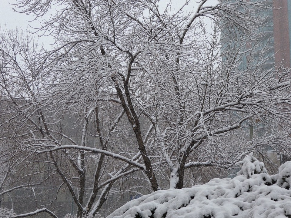 Canada - Calgary - 