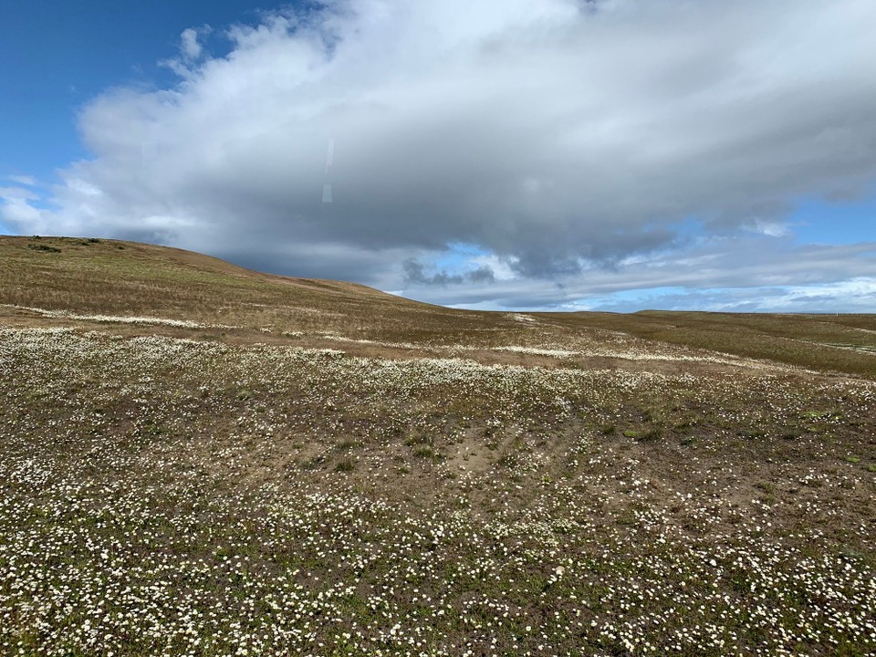 Argentinien - El Calafate - 