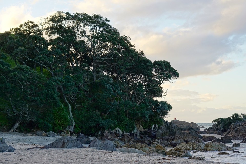 Neuseeland - Tauranga - 