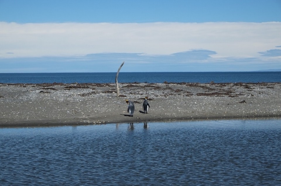 Chile - Punta Arenas & Porvenir - 