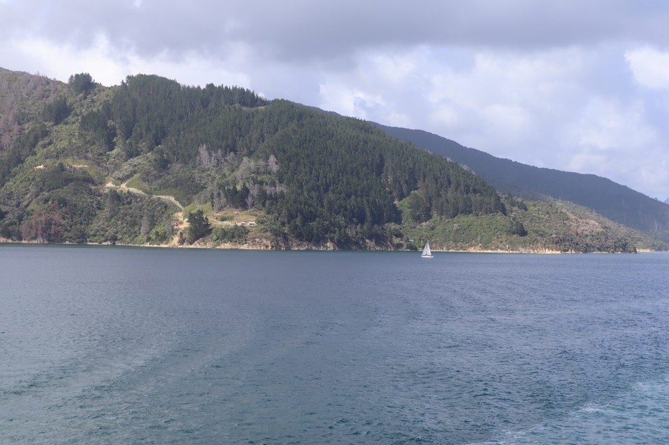 Neuseeland - Picton - 