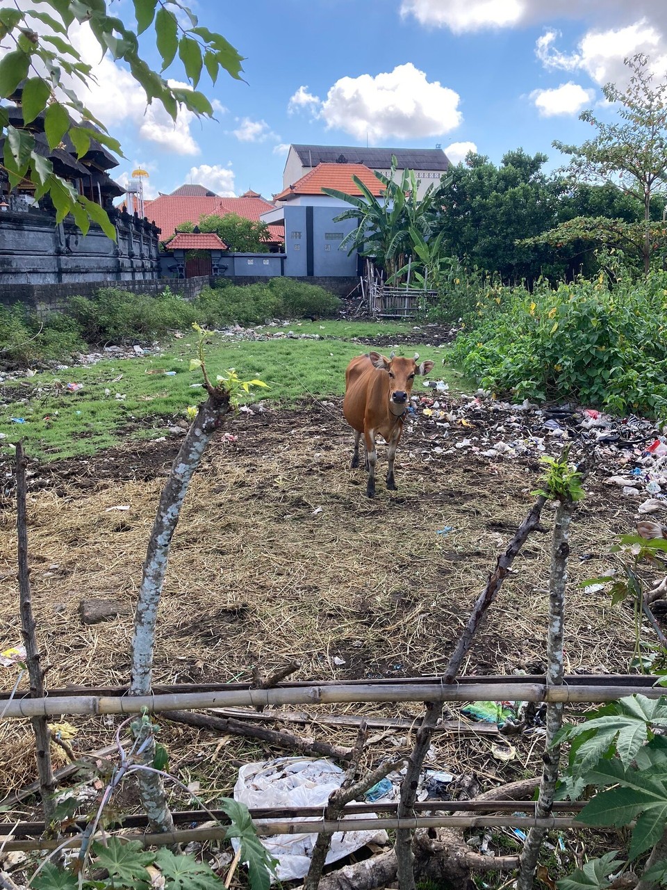 Indonesien - Denpasar - 