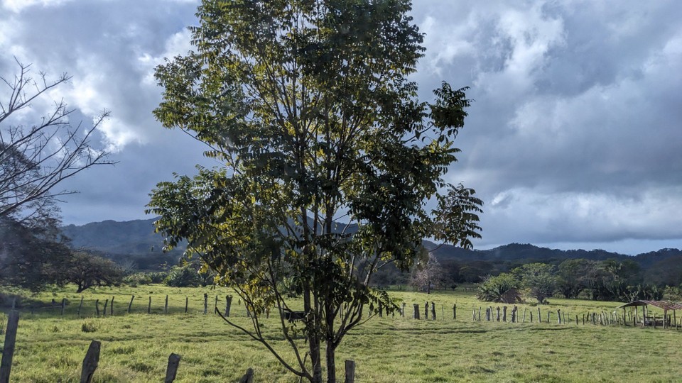 Costa Rica - Sámara - 