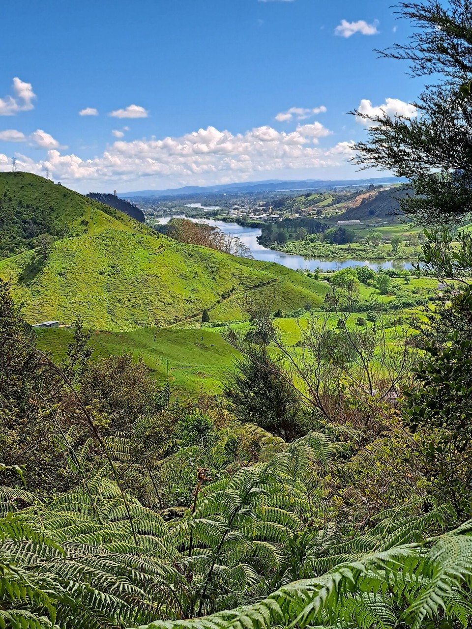 Neuseeland - Ngāruawāhia - 