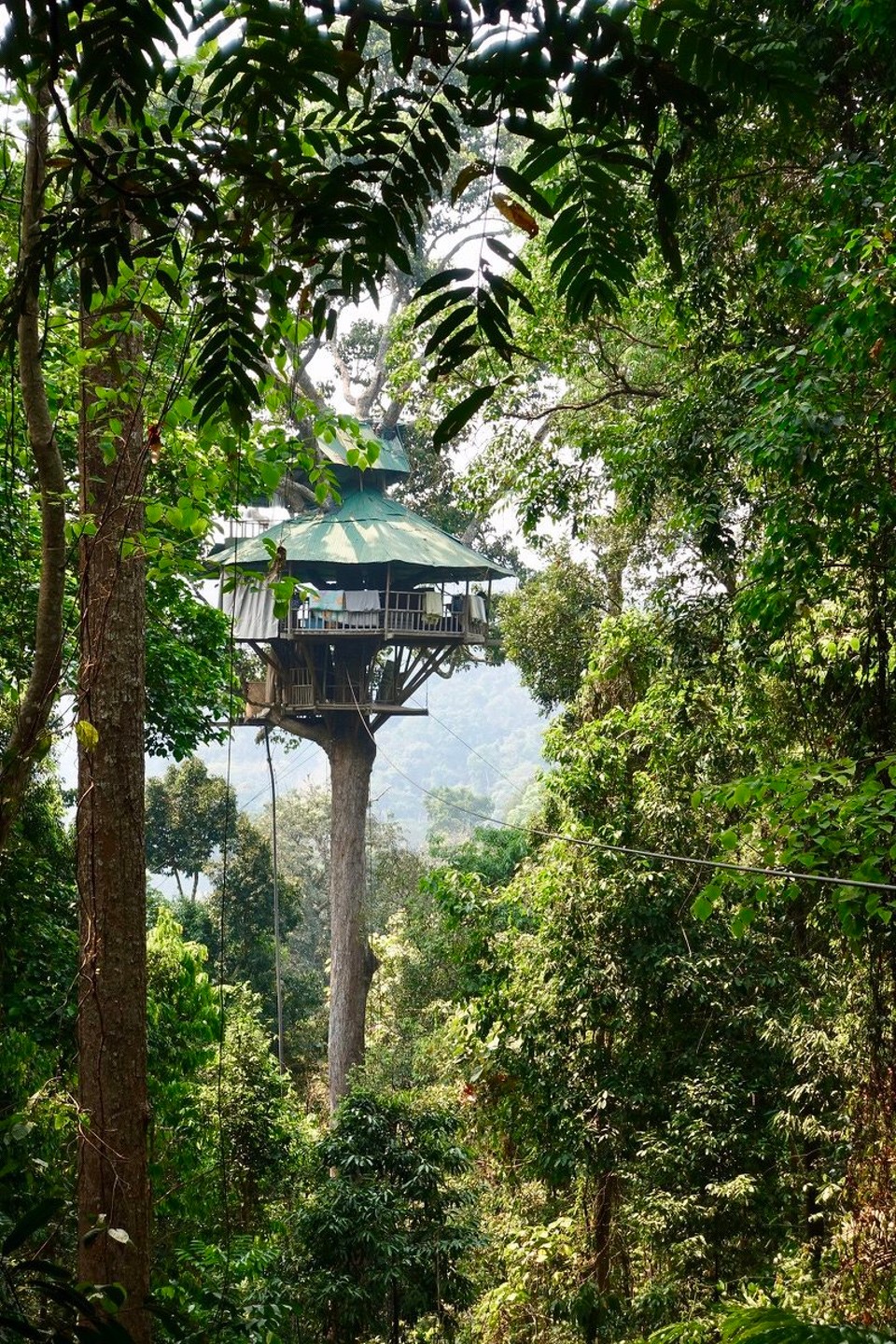 Laos - Huay Xai - Trehytta vi bodde i, nesten 40 meter over bakken. 