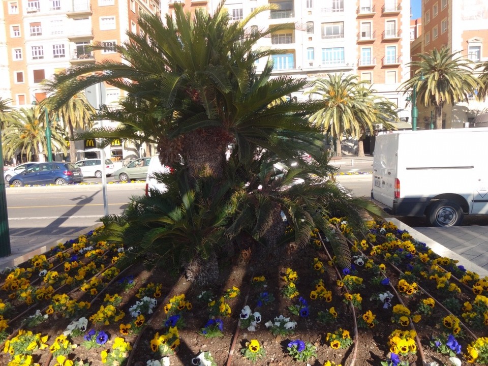 Spanien - Málaga - Málaga - Siggi mit Ilona und Roland auf Tour