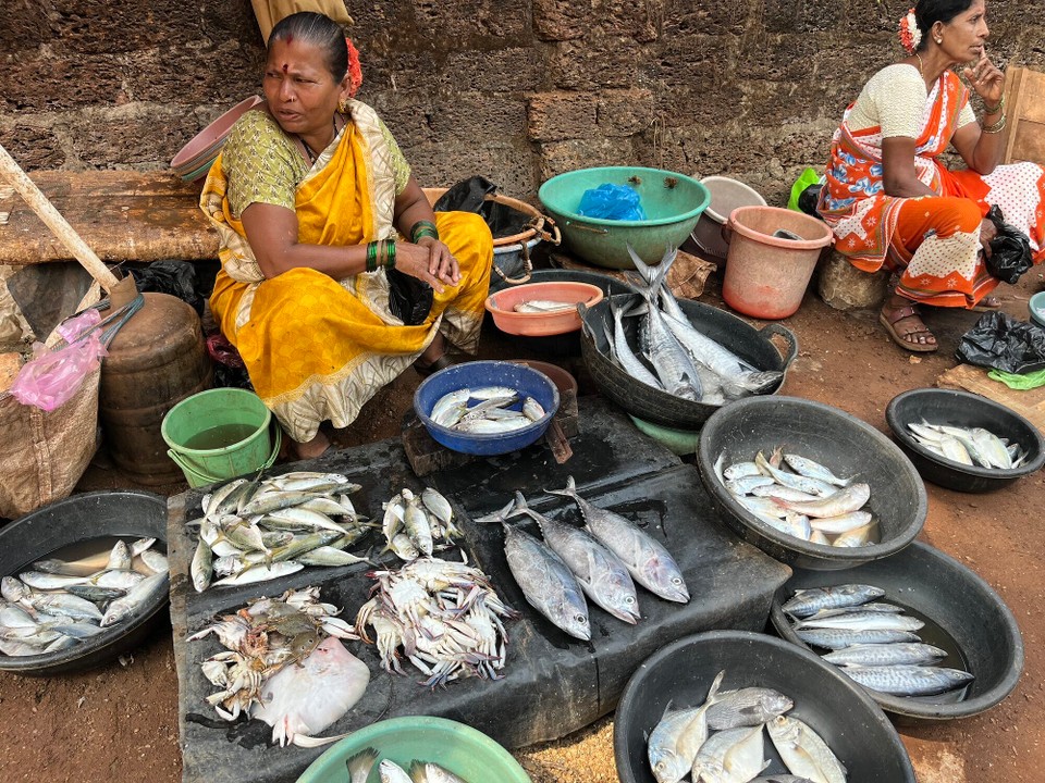 Indien - Gokarna - Fischmarkt 