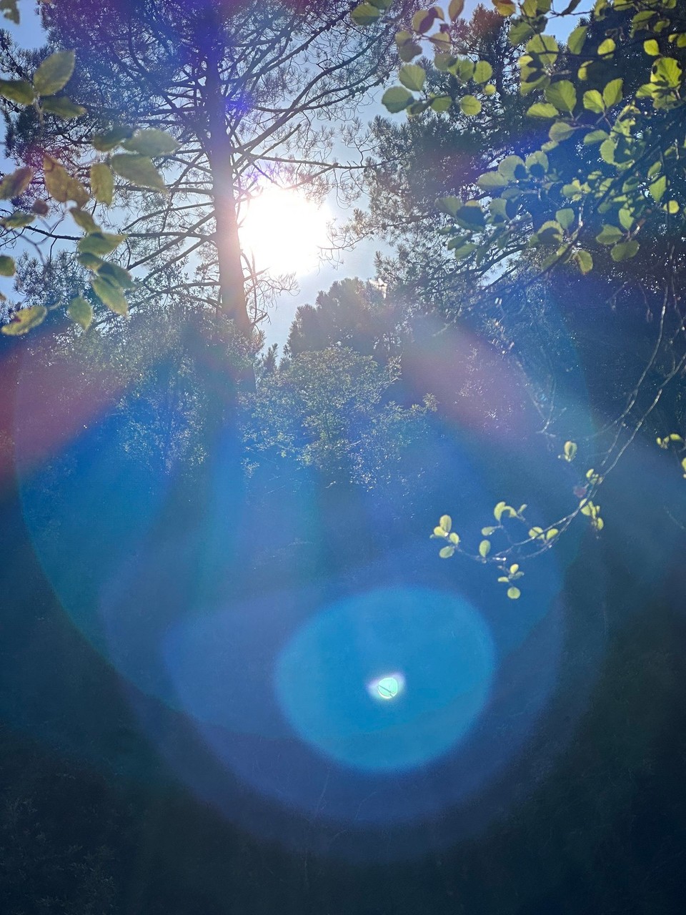 Frankreich - Quenza - 