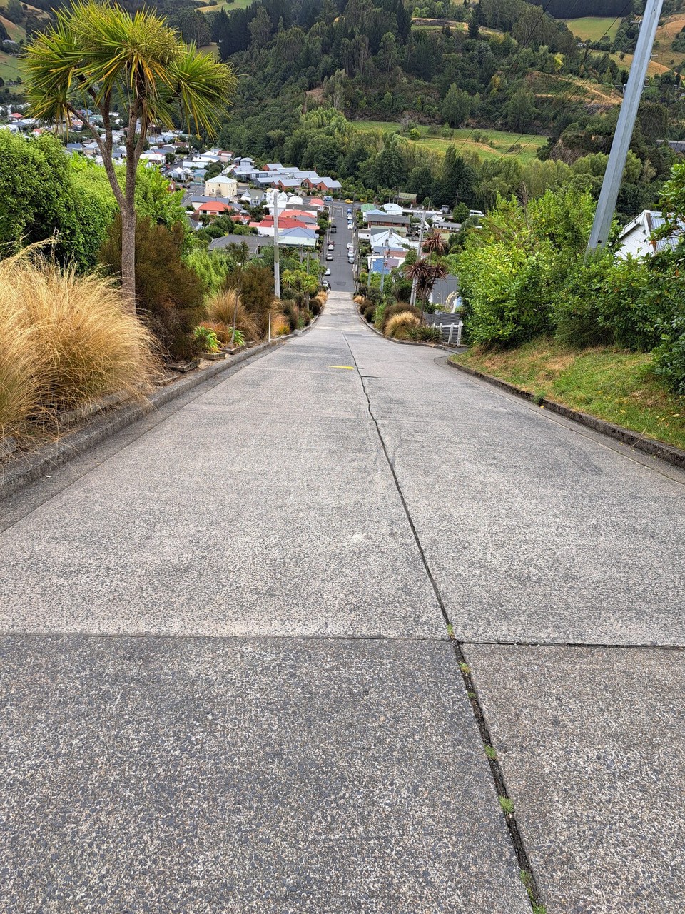 Neuseeland - Dunedin - Steilste Strasse der Welt 
