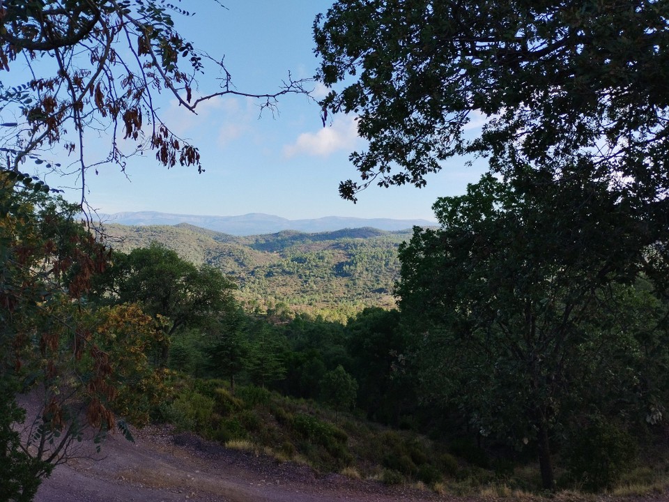 Frankreich - Toulon - 