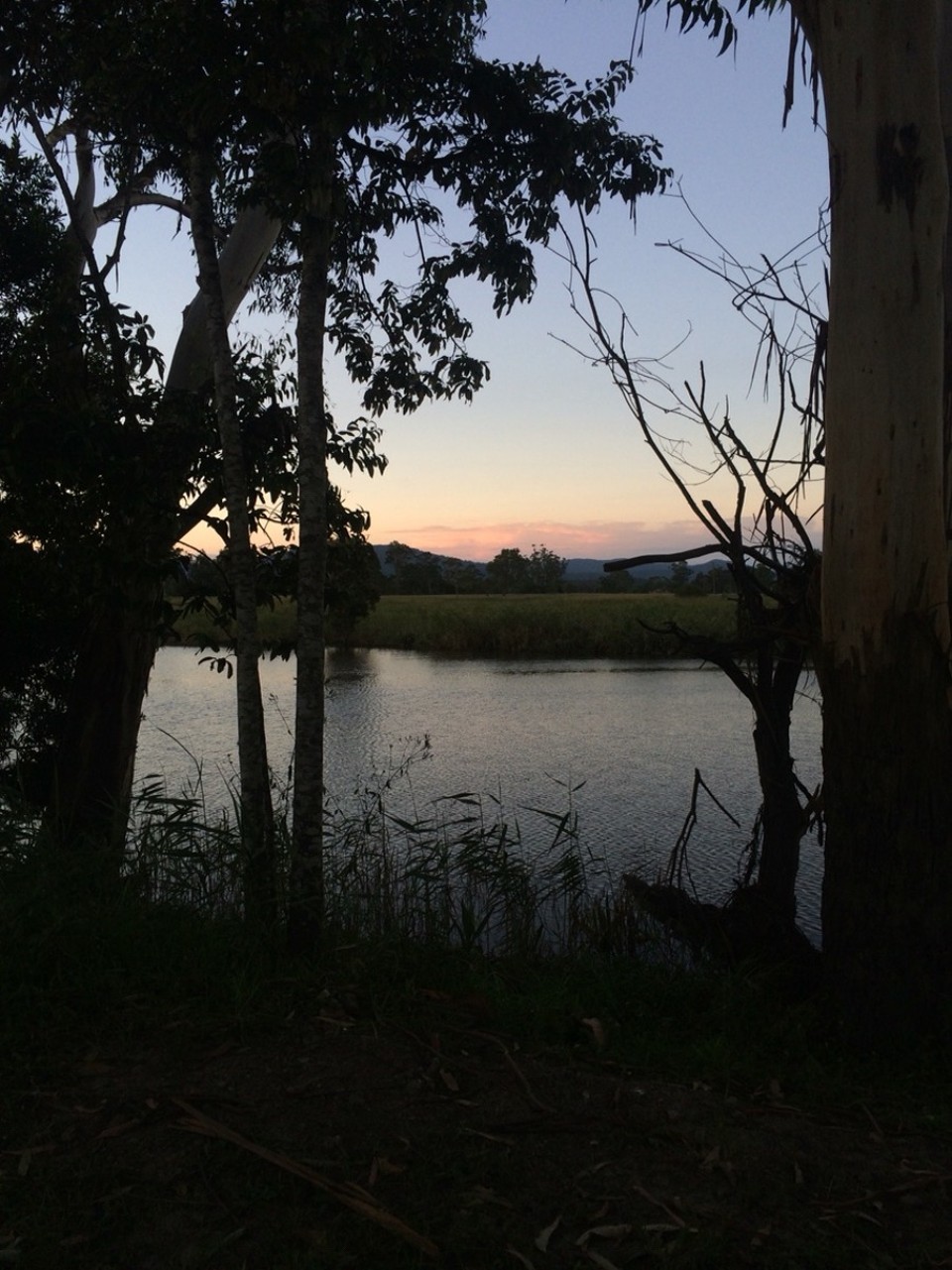 Australien - Bulahdelah - 