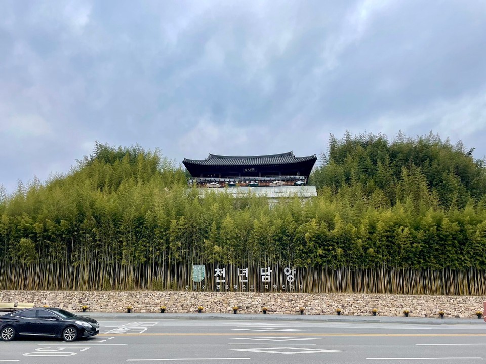 대한민국 -  - Ab in Bambuswald