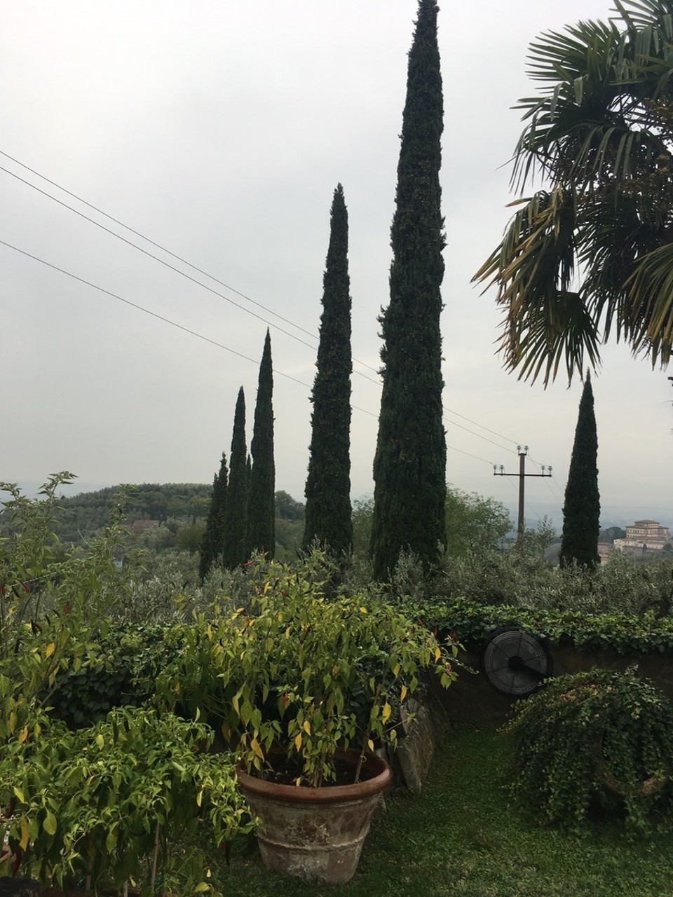 Italien - Lamporecchio - 