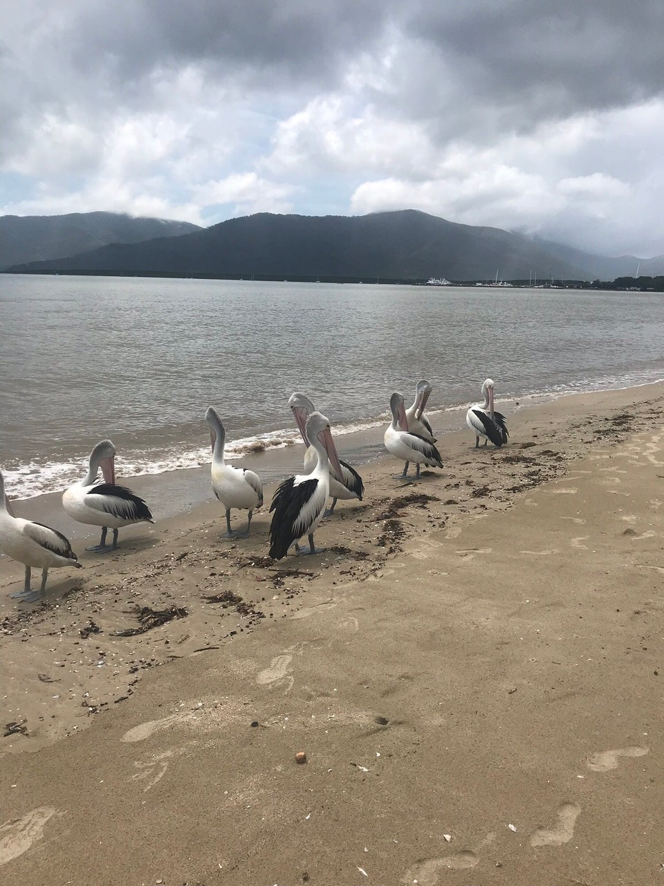 Australia - Cairns - 