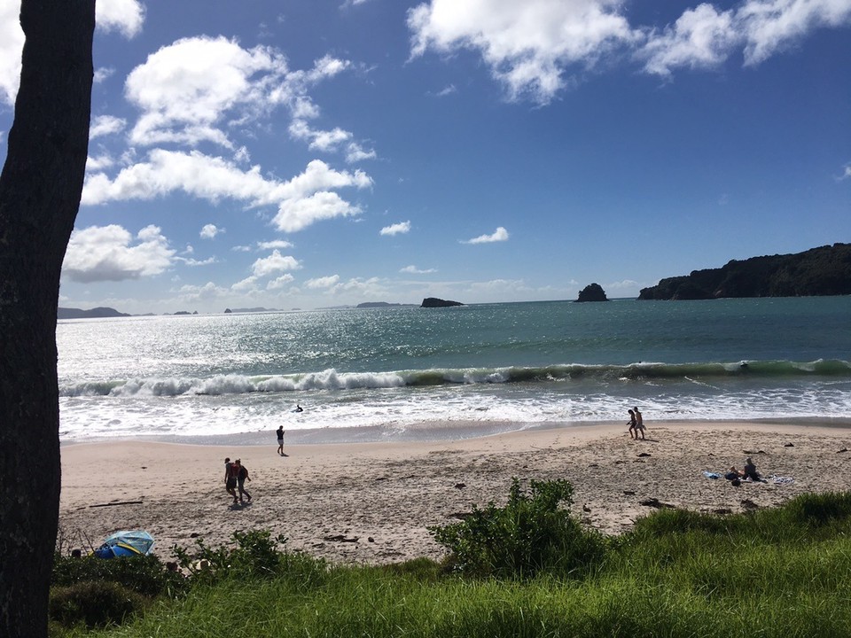 Neuseeland - Coroglen - 