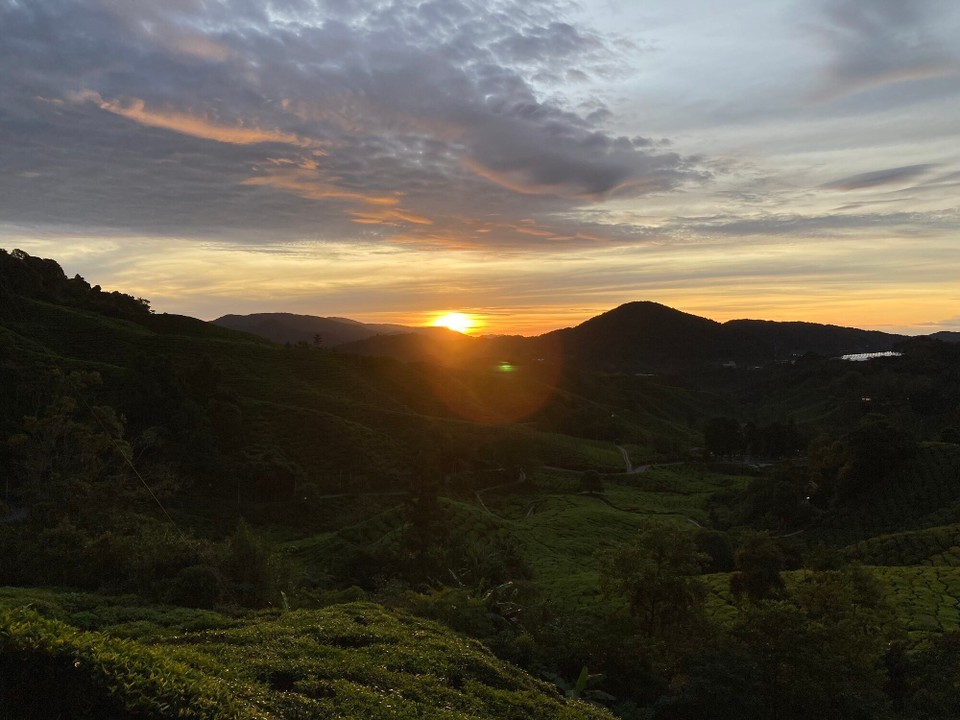 Malaysia - Tanah Rata - 