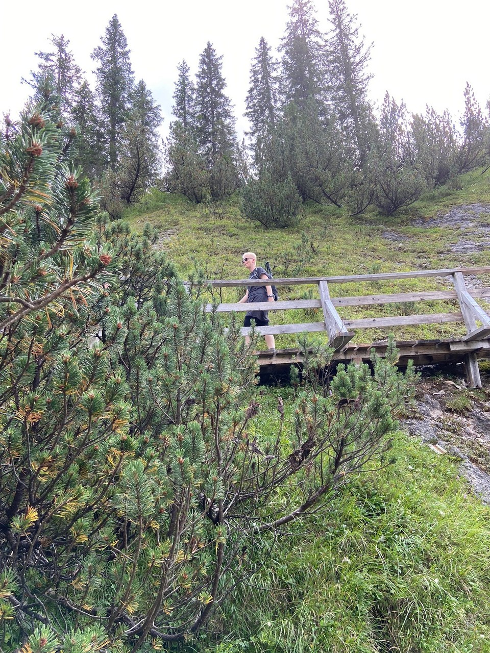 Österreich - Dalaas - 
