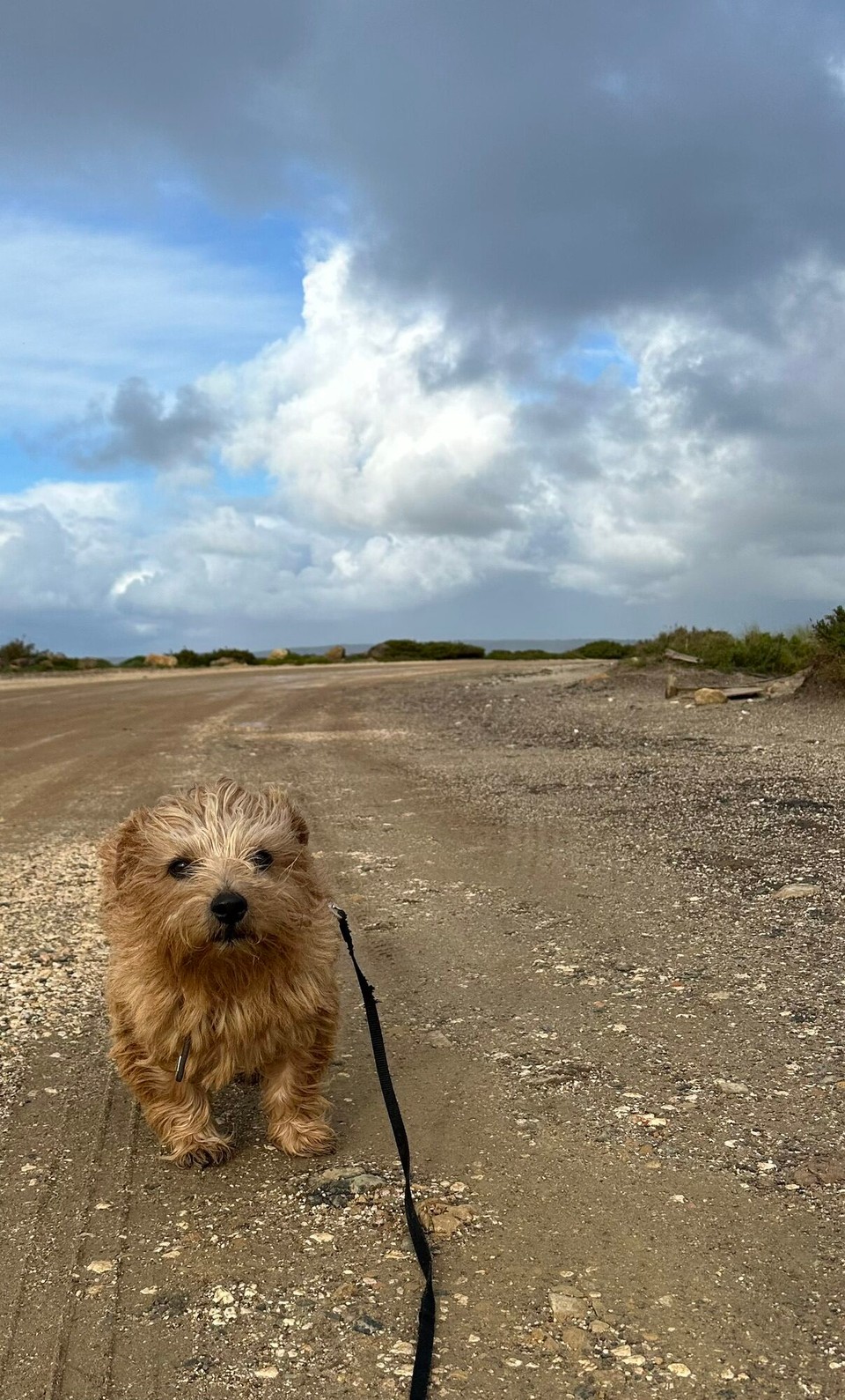 Portugal - Bordeira - 