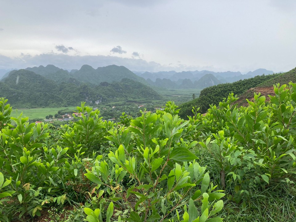 Vietnam - Bo Trach - 