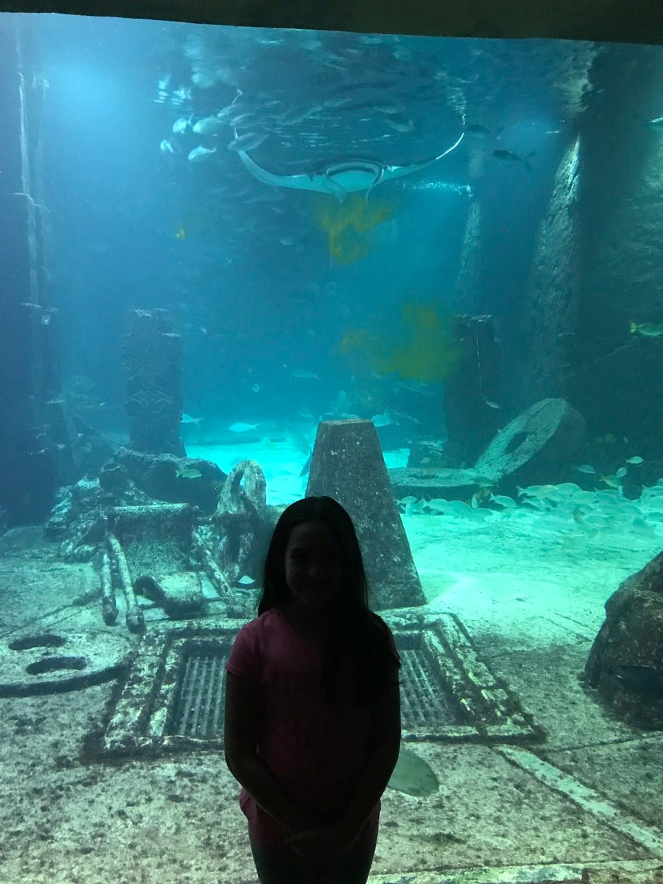 Bahamas - Nassau - 