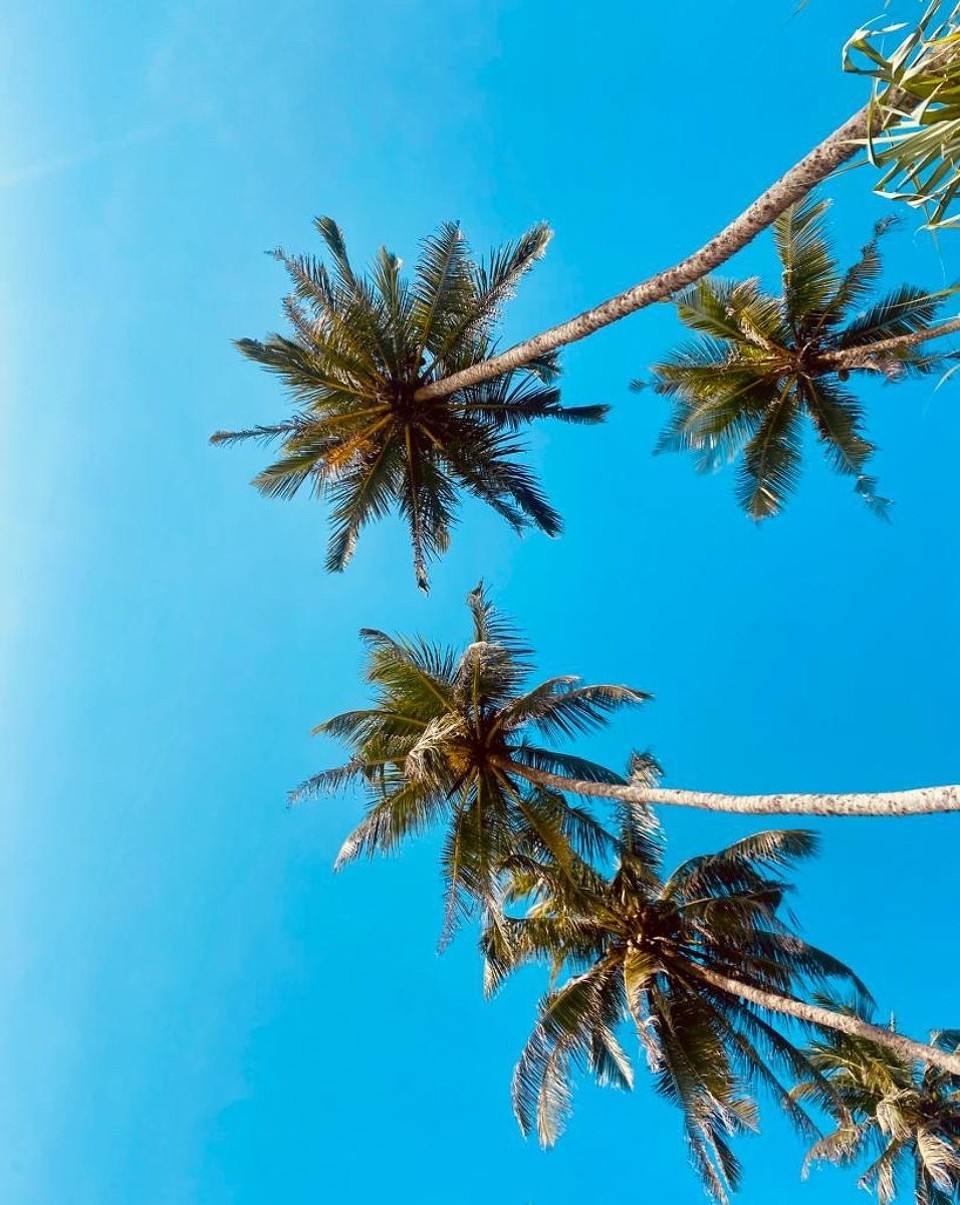 Sri Lanka - Tangalle - 