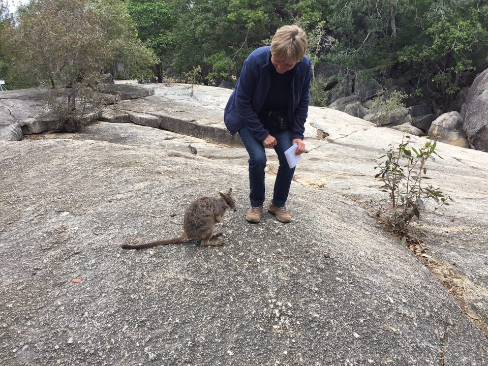 Australien - Mareeba - 