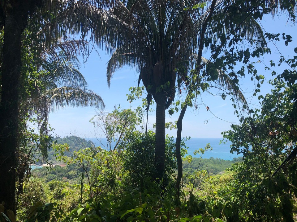 Costa Rica - Quepos - 