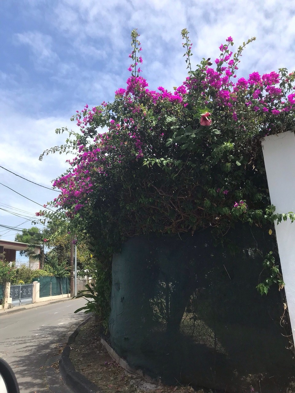 Guadeloupe -  - 
