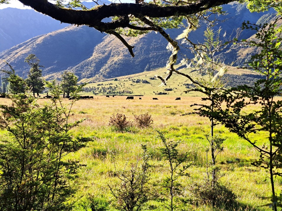 Neuseeland - Hanmer Springs - 