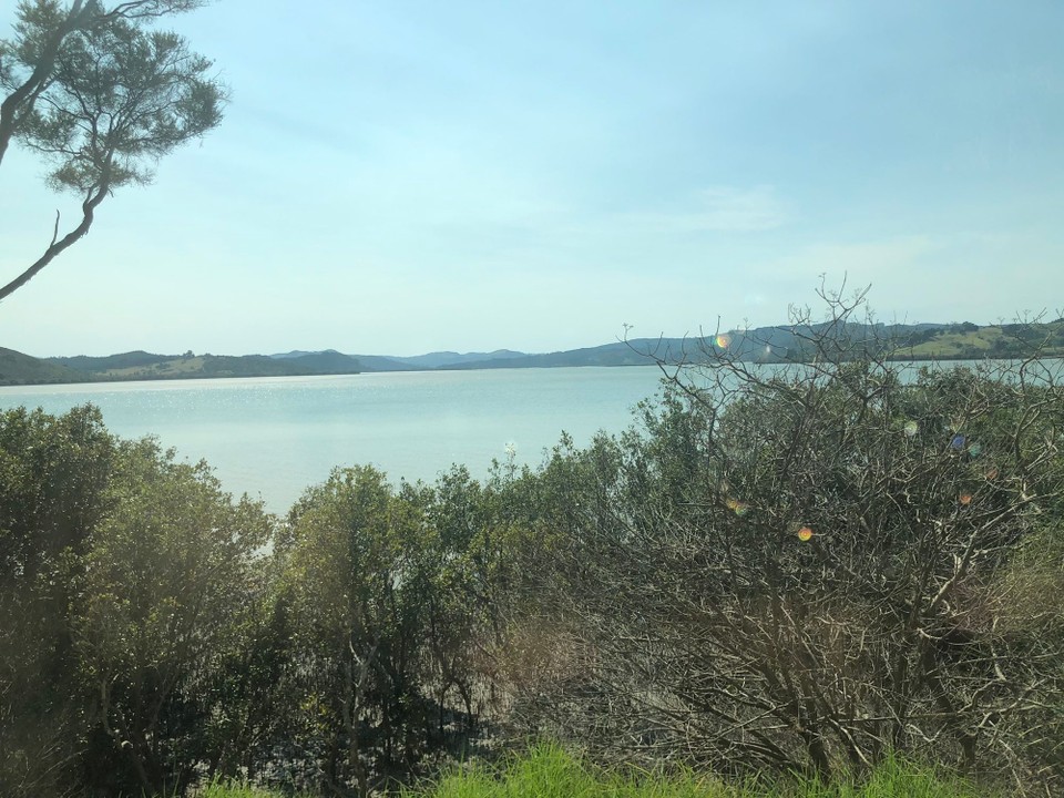 Neuseeland - Kaihu - Blick über den Hokianga Harbour 