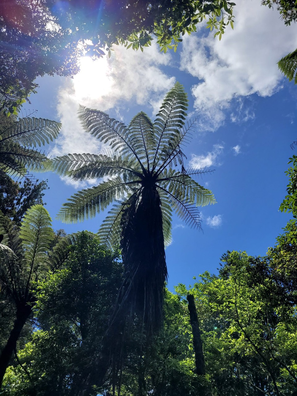 Neuseeland - Rotorua - 