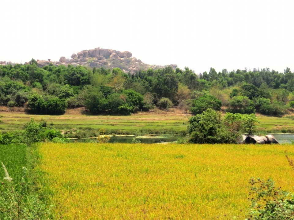 Indien - Hampi - 