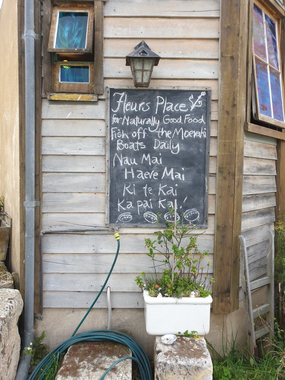 Neuseeland - Oamaru - 