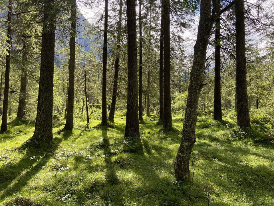 Schweiz - Kandersteg - 