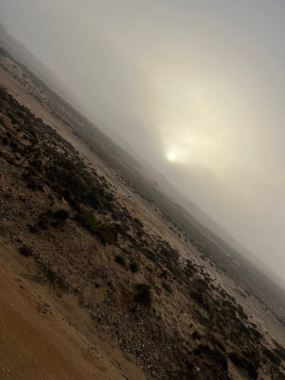 Portugal - Longueira-Almograve - Und da ist sie dann doch. 