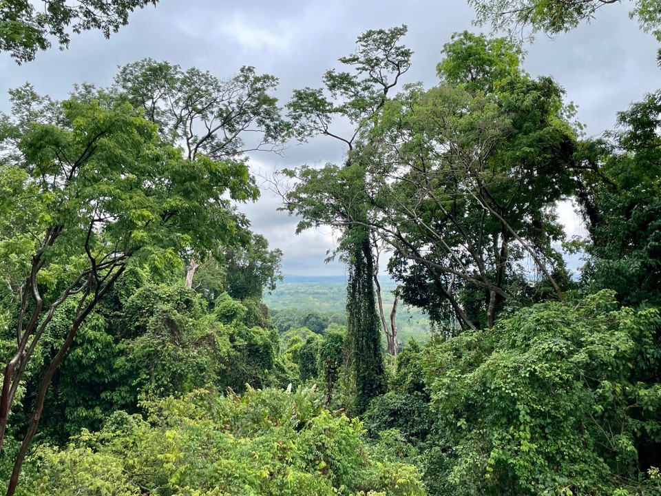 Mexiko - Palenque - 