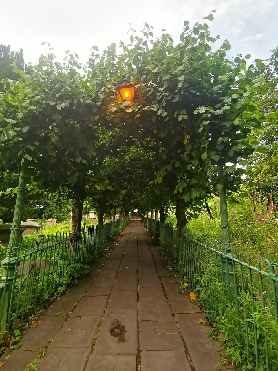 United Kingdom - Bristol - Birdcage Path