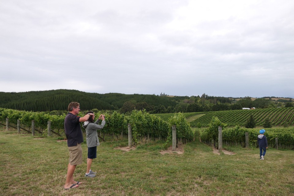 Neuseeland - Upper Moutere - 