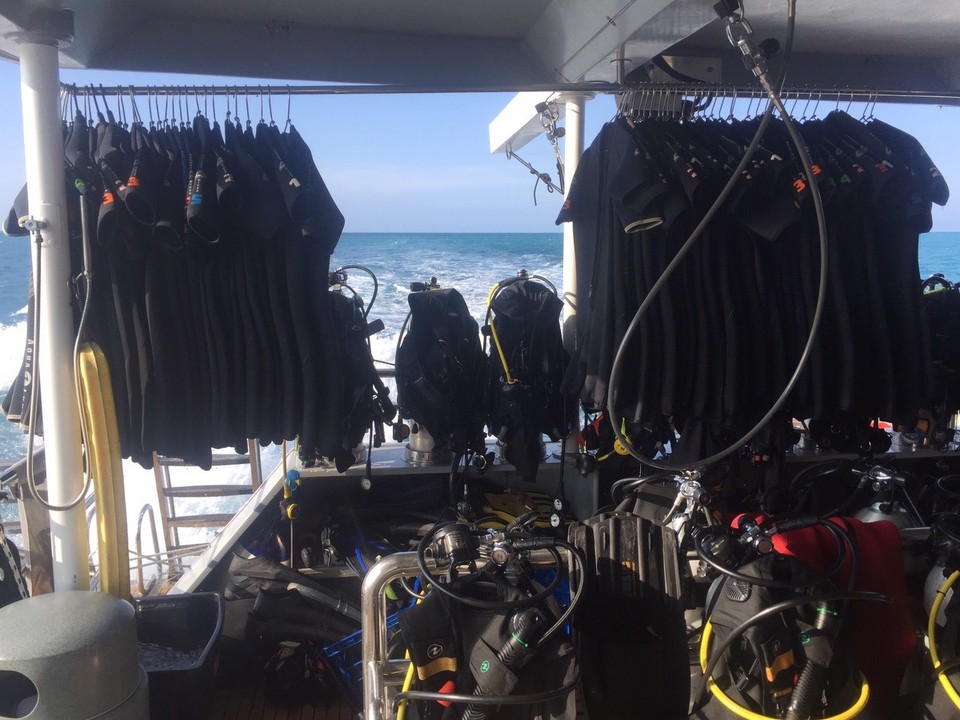  - Great Barrier Reef Conservation Reserve - Hastings Reef - 