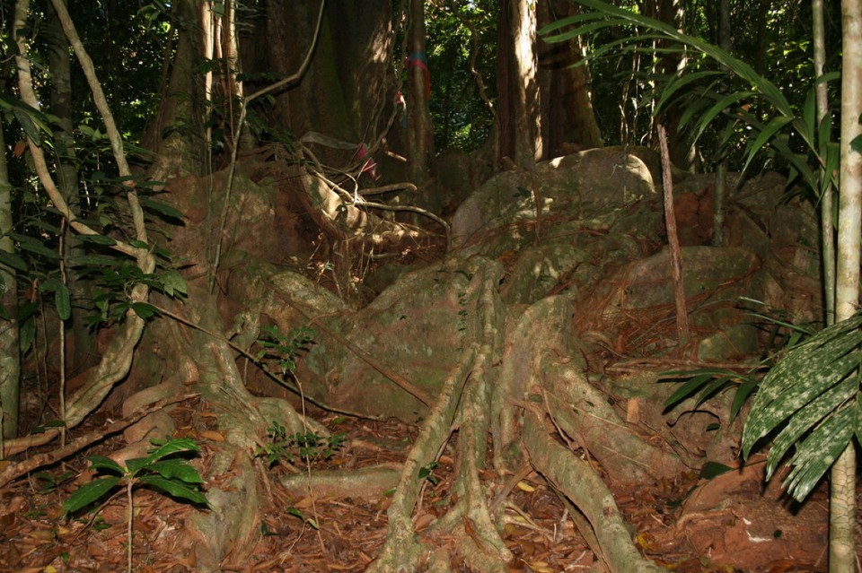 Thailand - Ko Kut - 