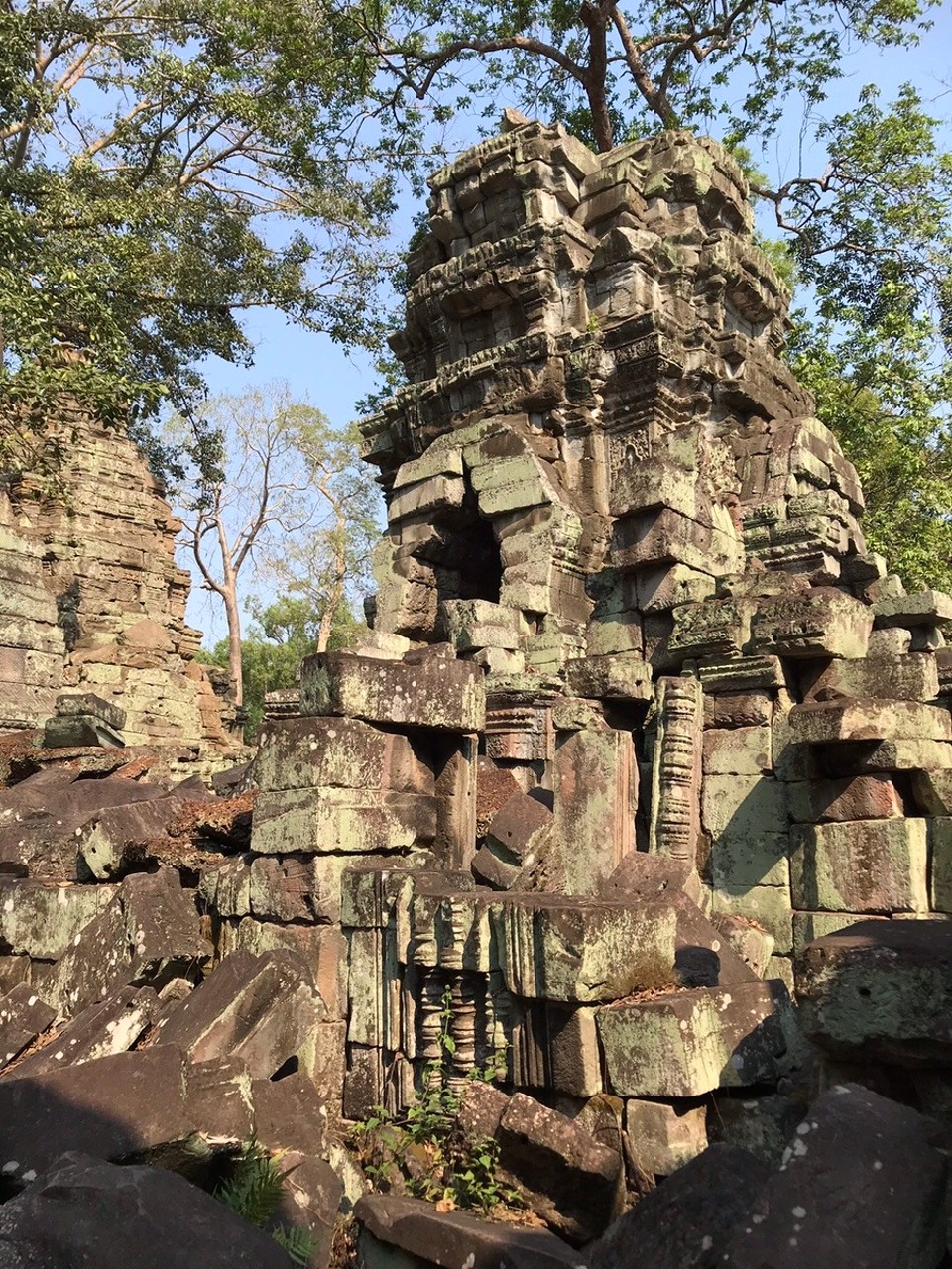 Cambodia -  - Ta Prohm (aka Tomb Raider Monument)