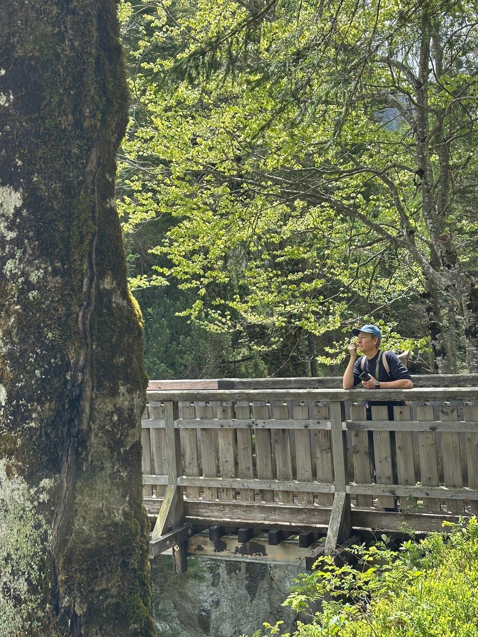 Österreich - Scharnitz - 