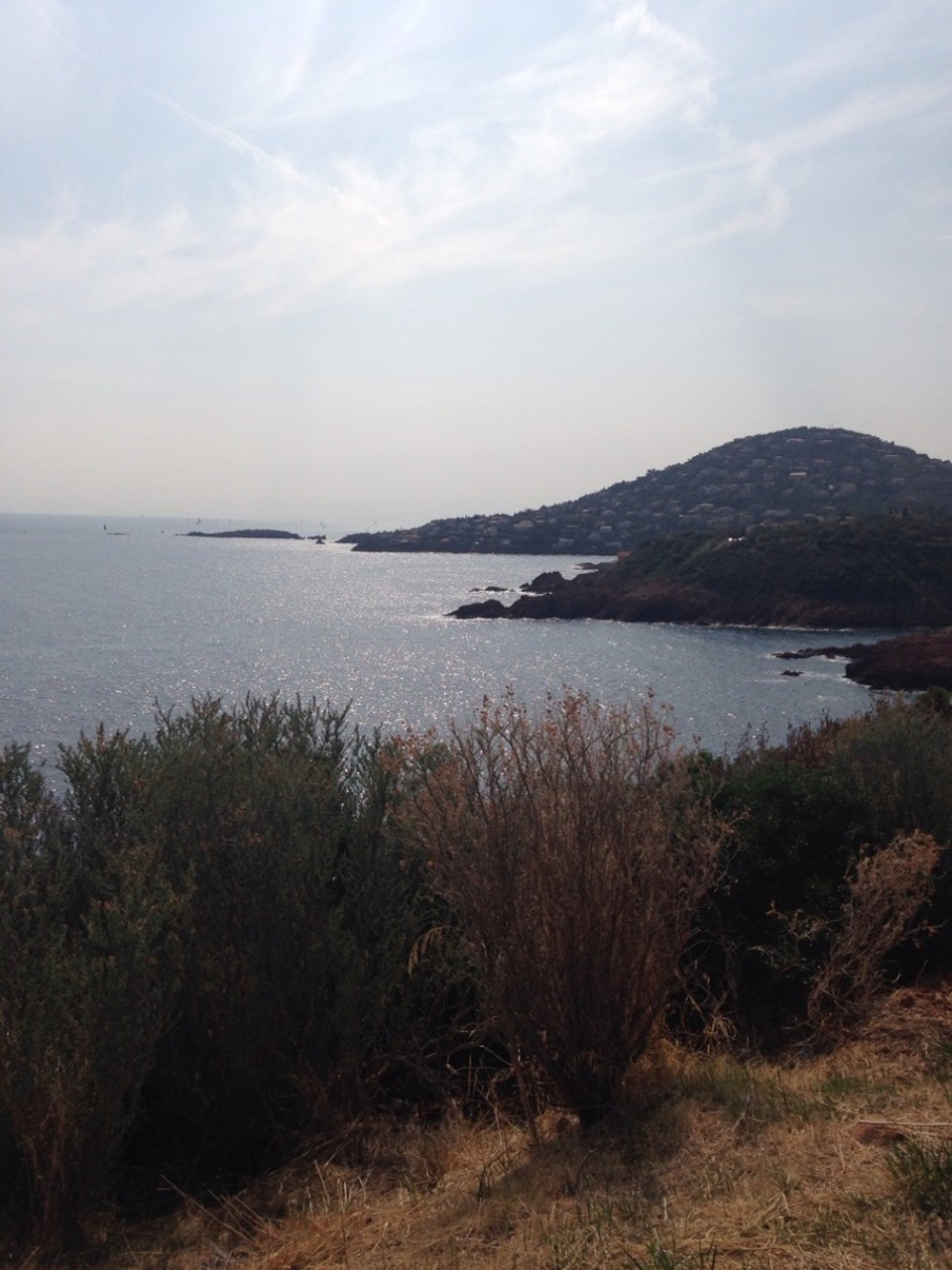 Frankreich - Cannes - L'Ile Anteor )))