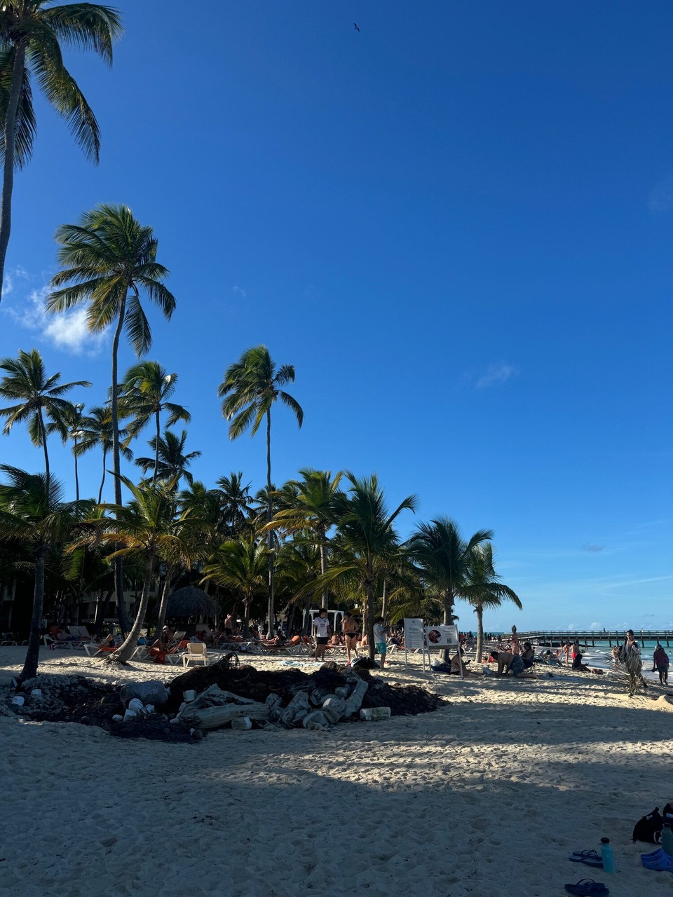 Dominican Republic - Punta Cana - 