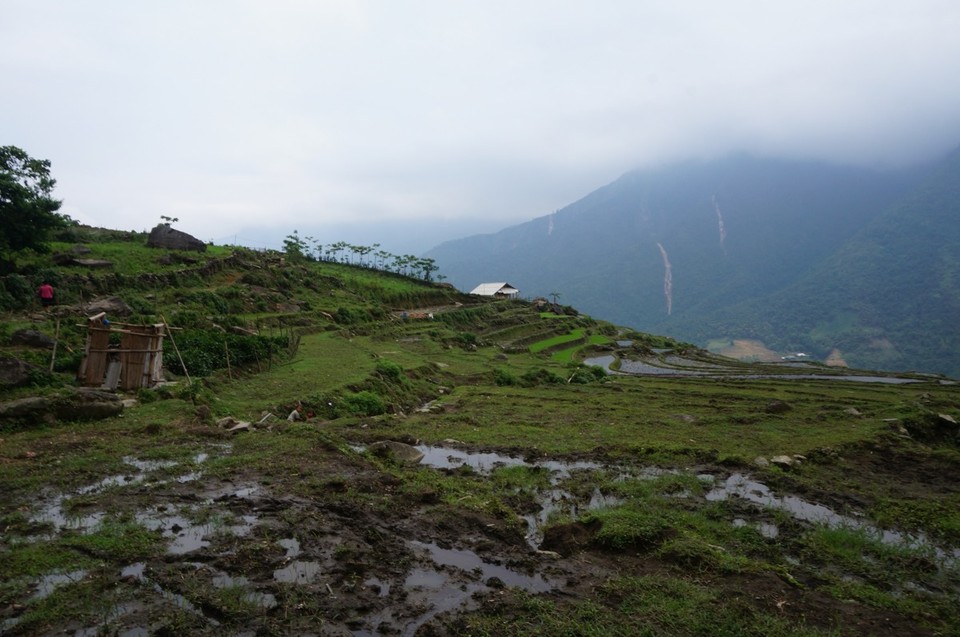 Vietnam -  - 
