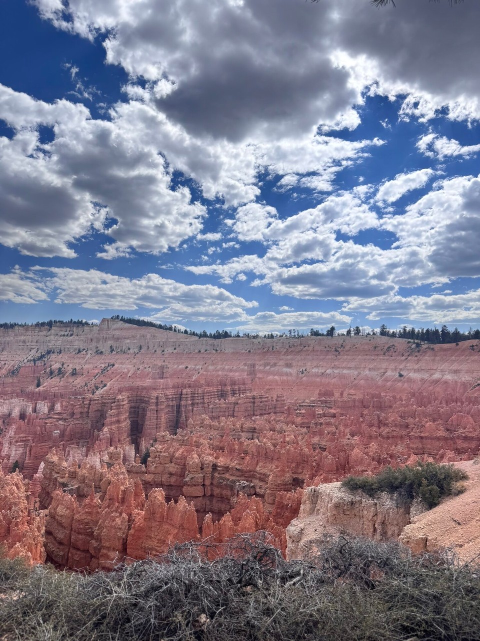 Vereinigte Staaten - Bryce Canyon - 