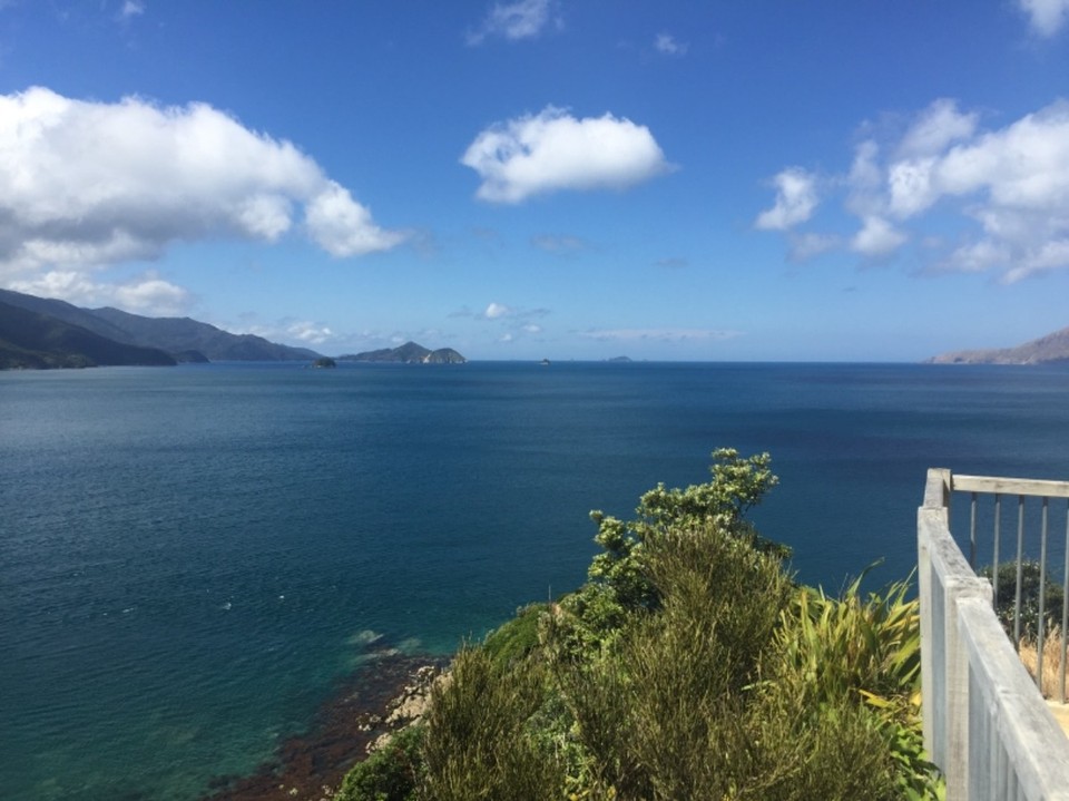 Neuseeland - French Pass - 