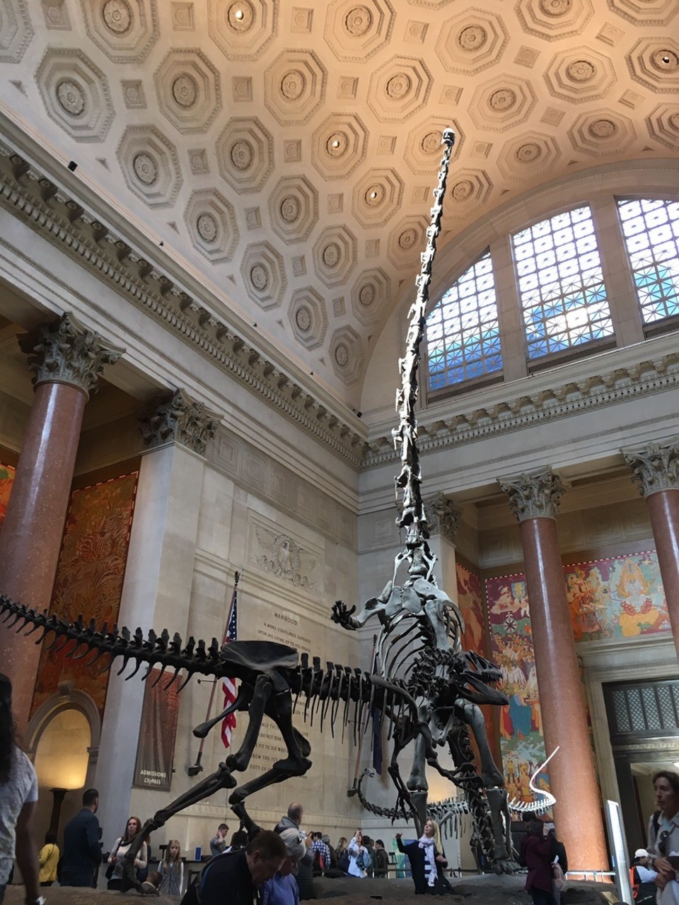 United States - New York - Nachts im Museum wird zu Tags im Museum 