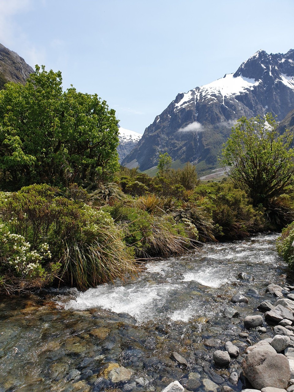 Neuseeland - Invercargill - 